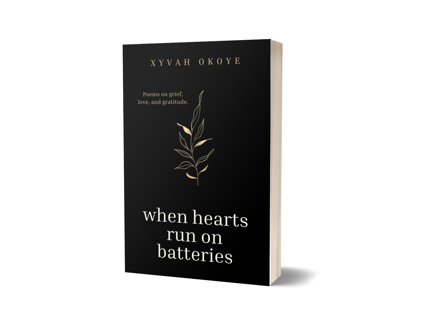 WHEN HEARTS RUN ON BATTERIES (PAPERBACK)