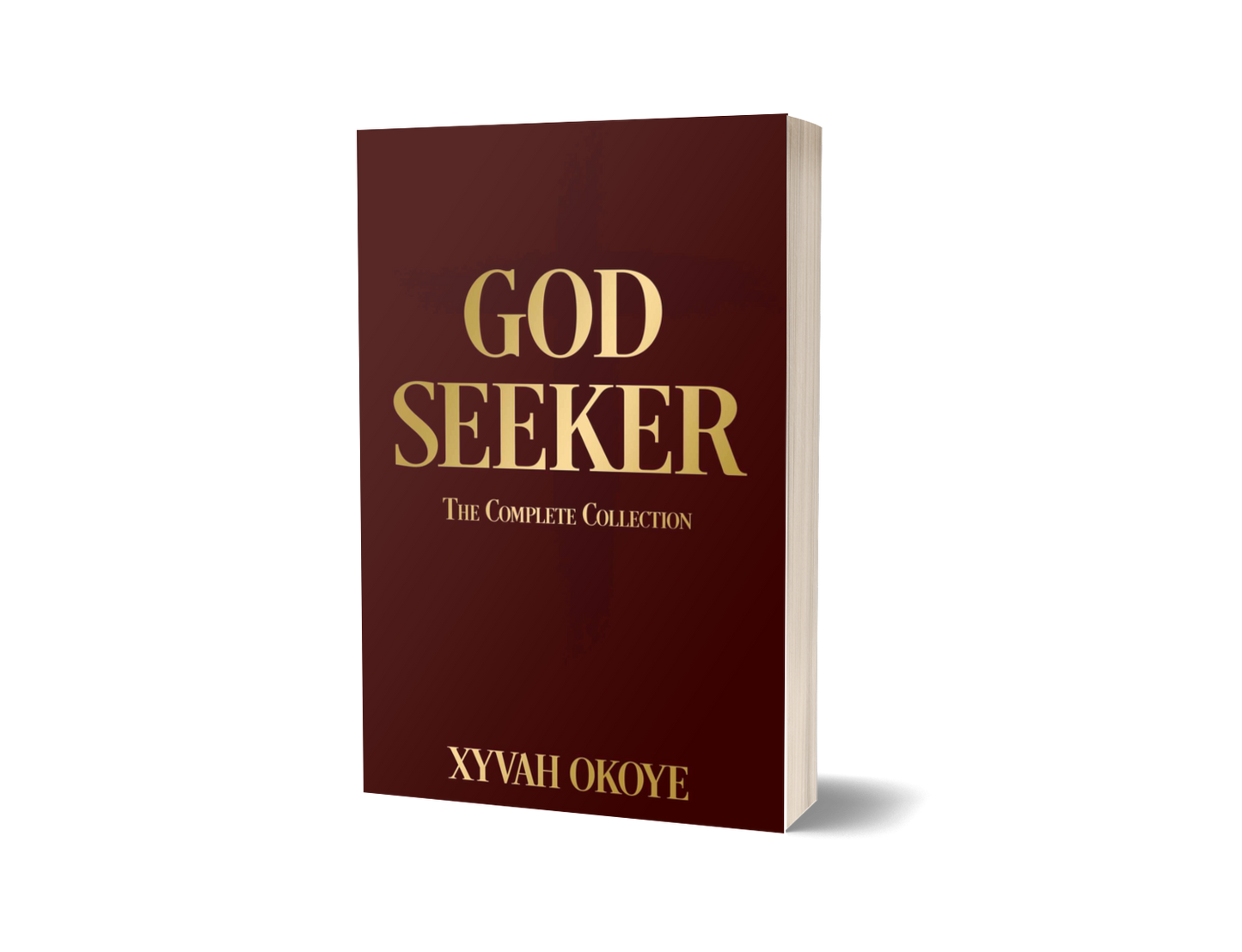 GOD SEEKER (PAPERBACK)